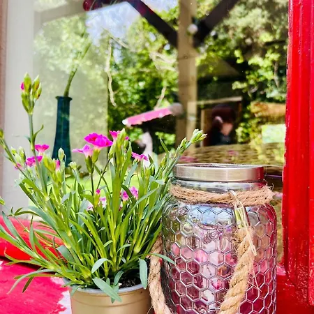 The Limehouse * Killybegs