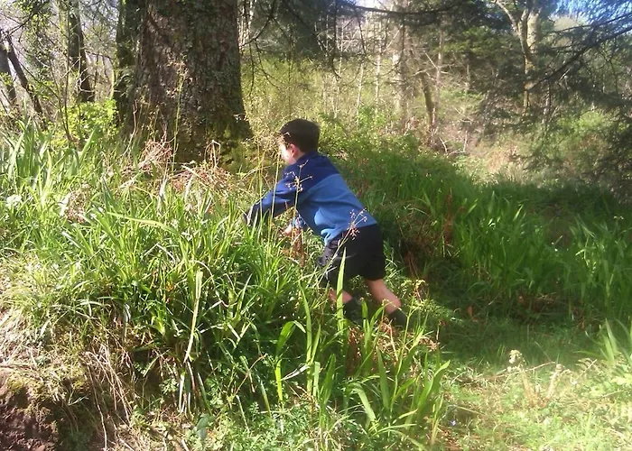 The Limehouse * Killybegs