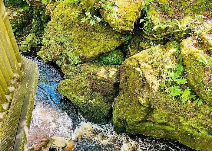 Сasa de vacaciones The Limehouse *