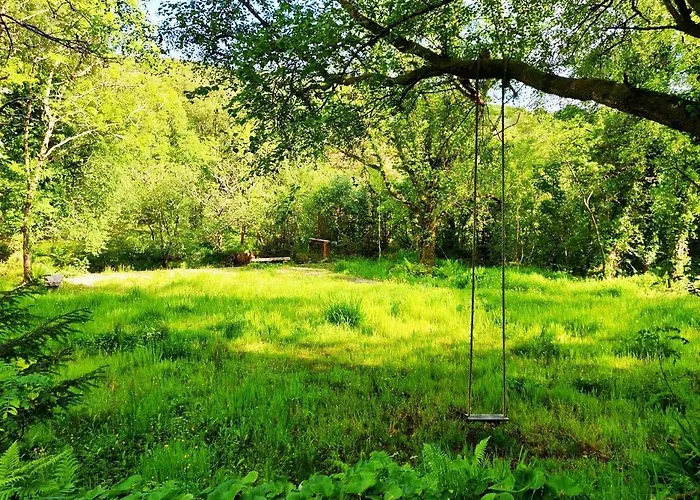 The Limehouse Killybegs